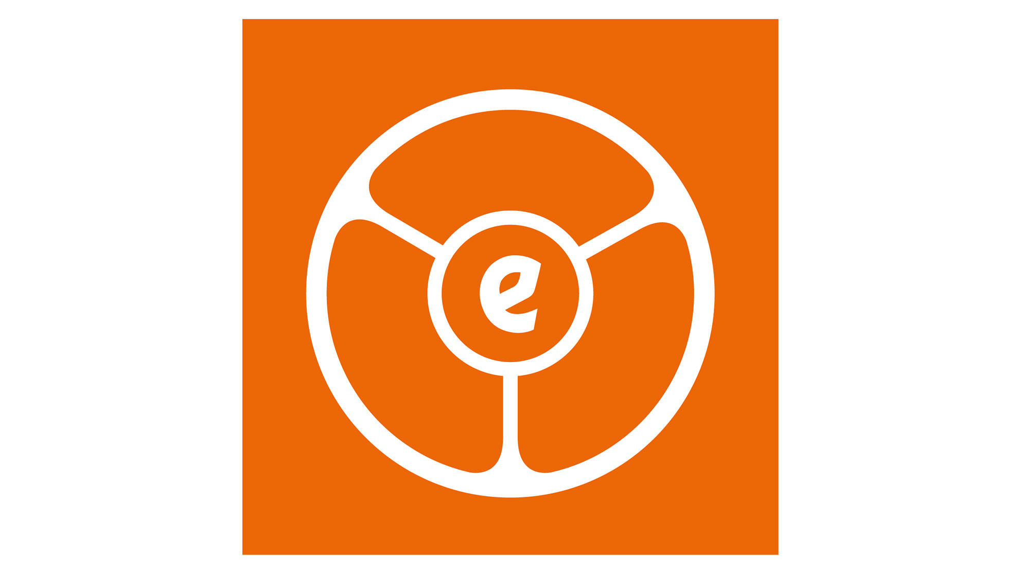 EURAMI NAARDEN B.V. LOGO