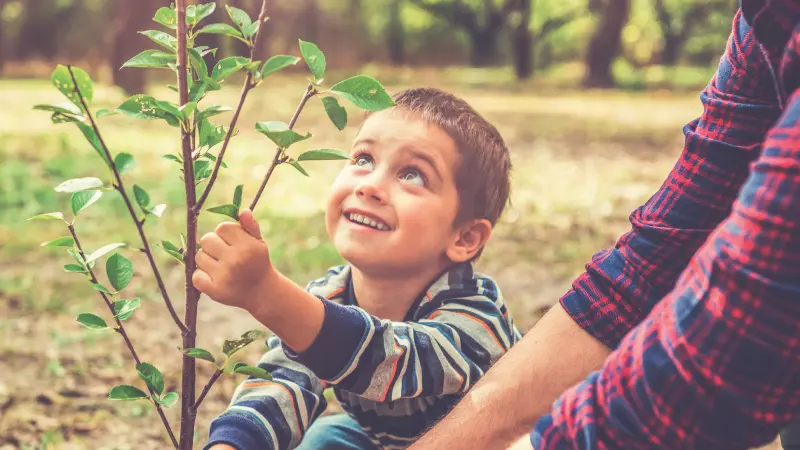 Information sur les déchets d’emballages
